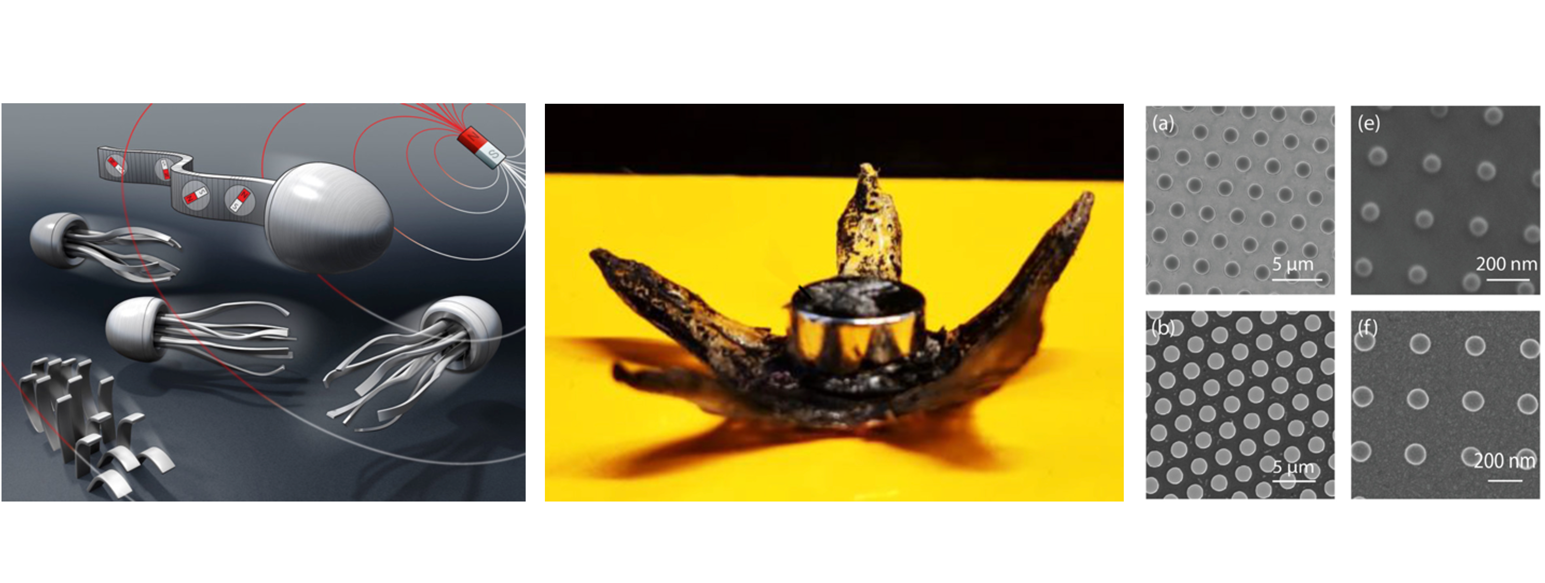 Development of effective constitutive model for polymers actuated by antiferromagnetic nanoplatelets