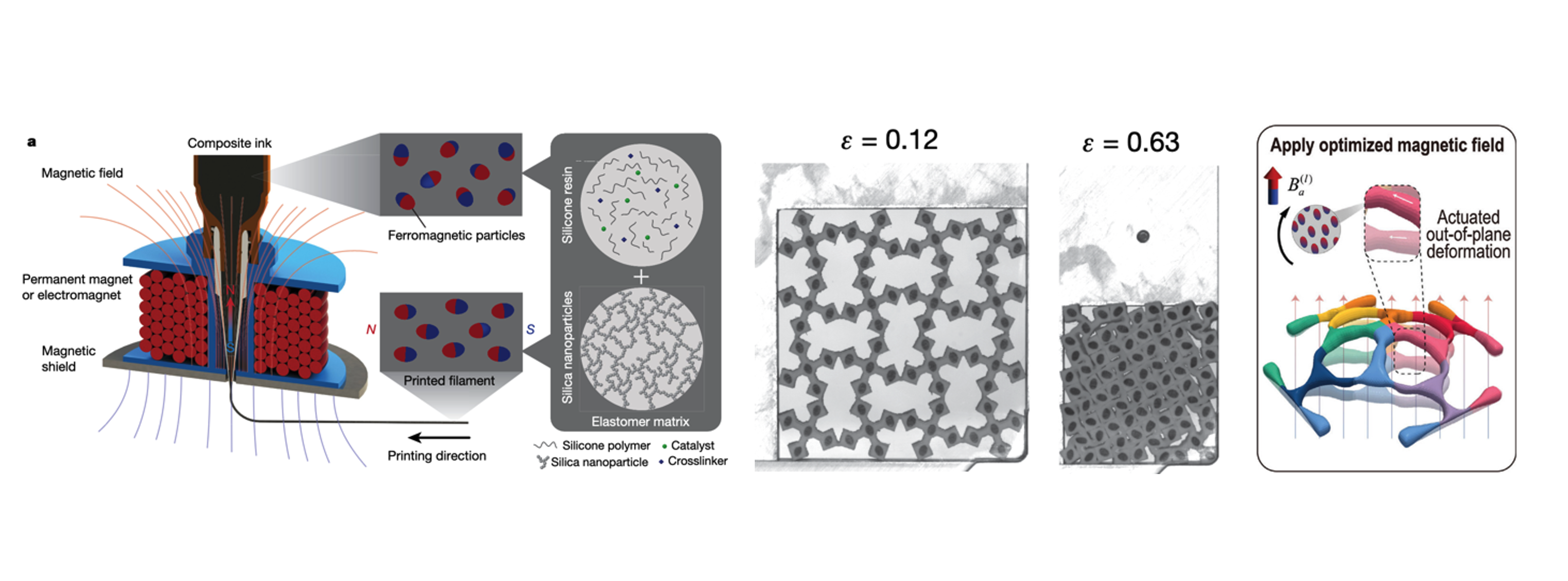 Design and manufacturing of 3D morphing scaffolds