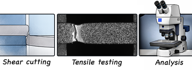In-situ study of shear cutting effects in Advanced Green Steels
