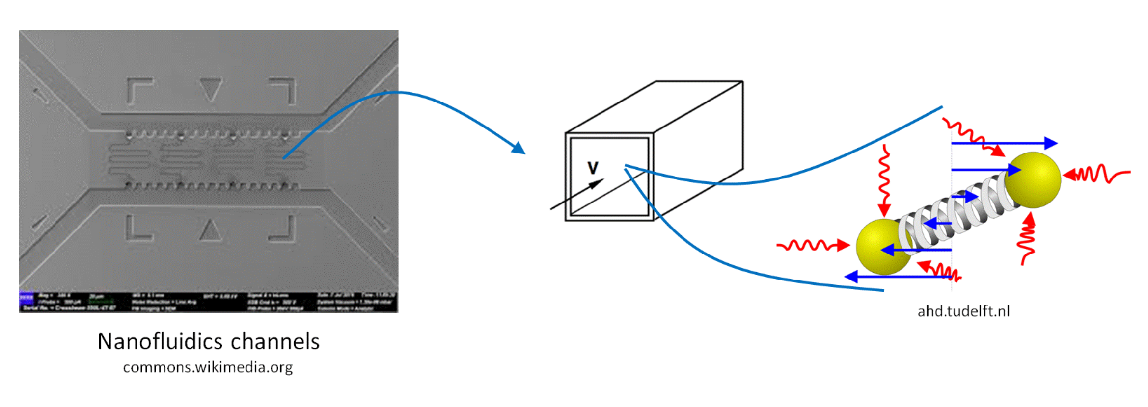 Complex Fluids in Micro- and Nano-fluidic Devices