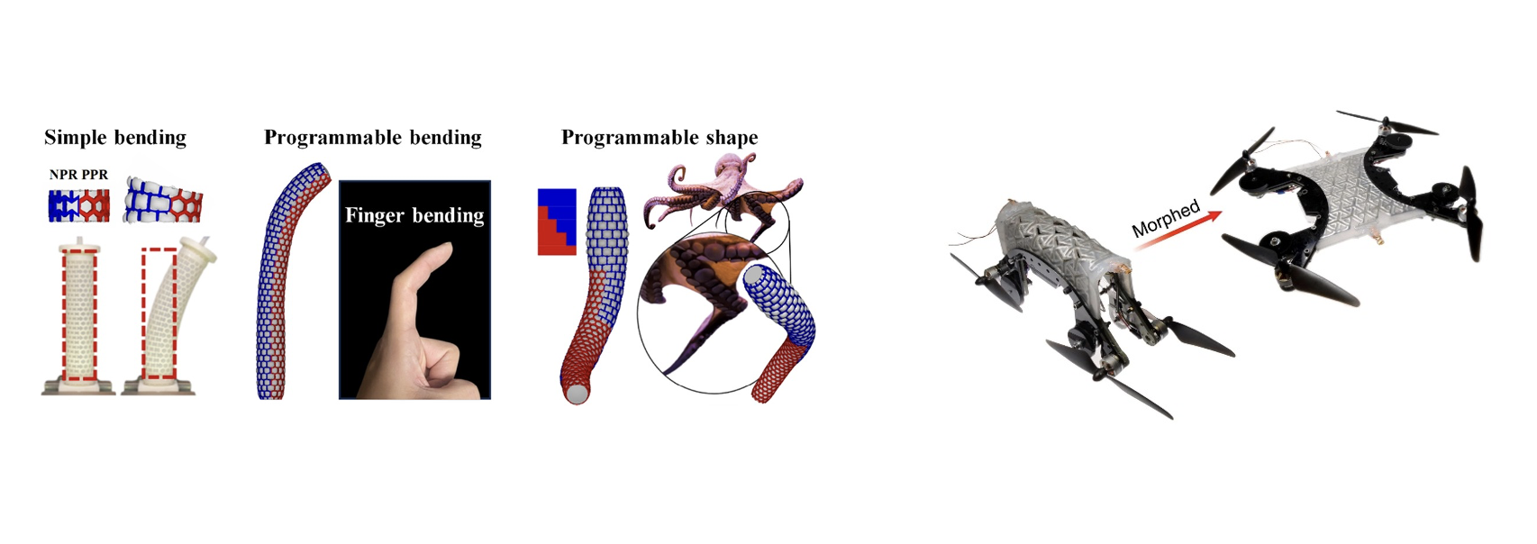 Investigation of symmetry in mechanical metamaterials