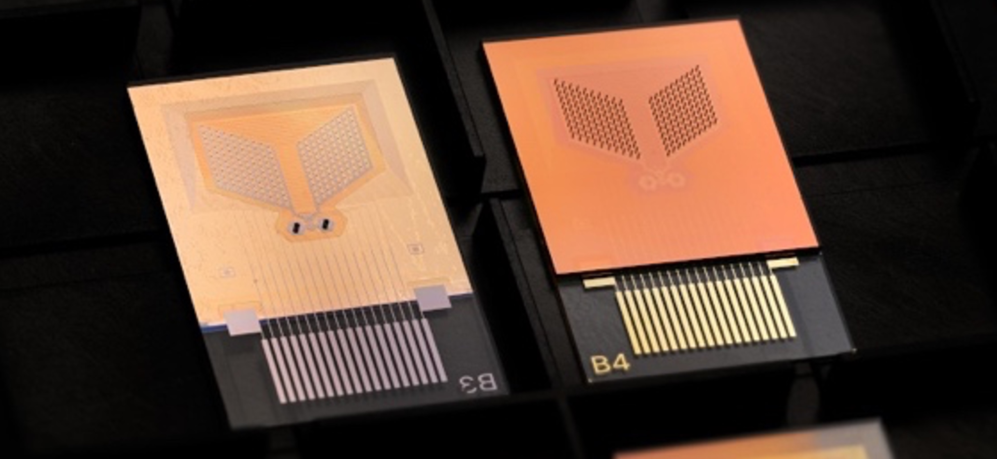 Non-invasive kidney function monitoring via sweat sensing