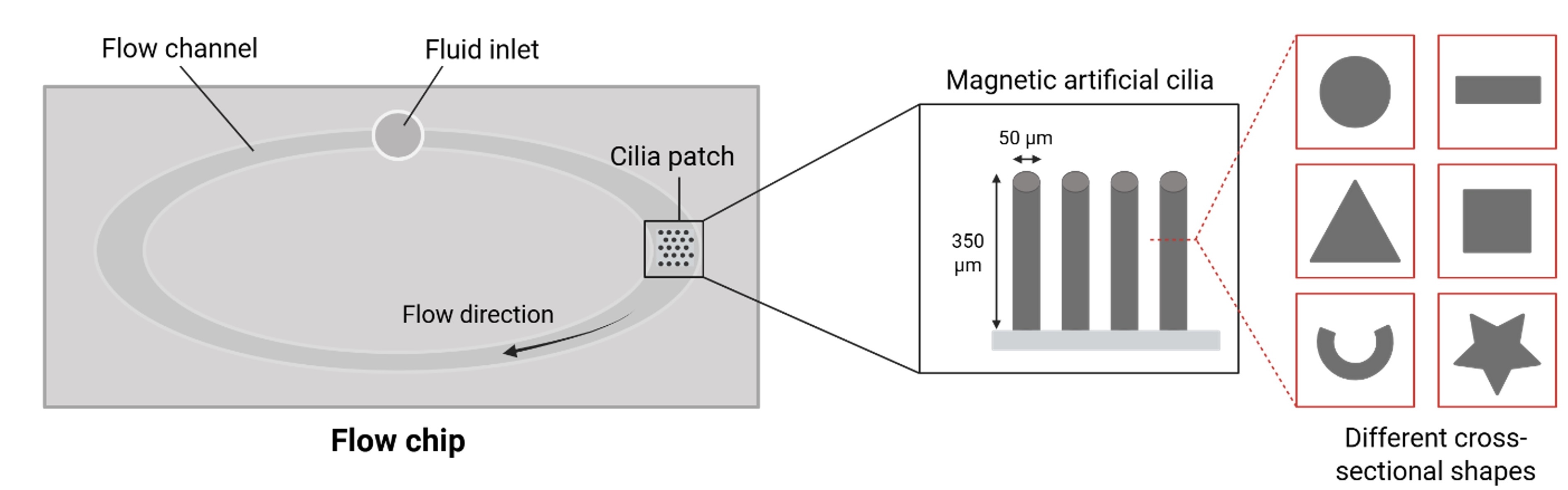 Effects of artificial cilia shape on fluid flow rates