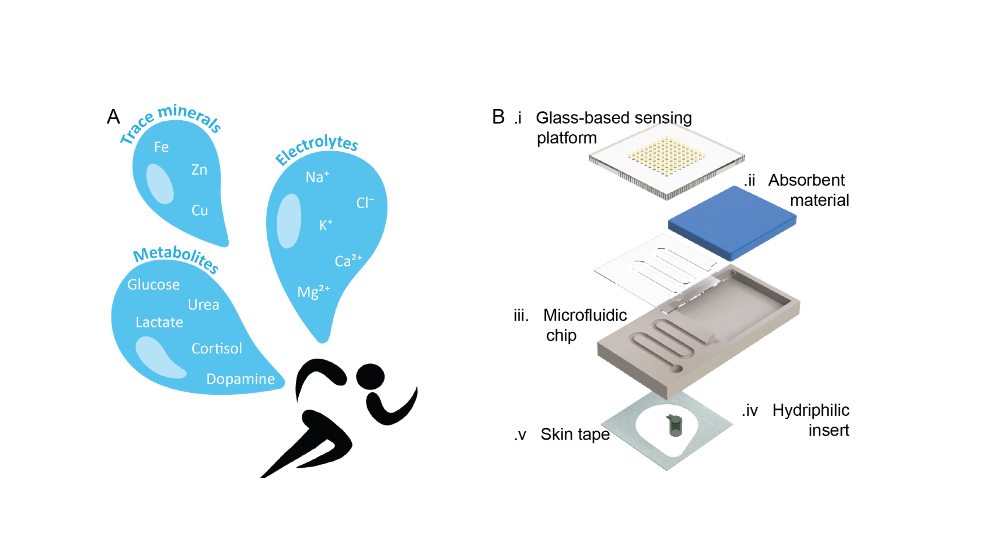 Integrated Sweat Volume and Rate Sensor for Wearable Biomonitoring of Athletes